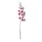 Orchid Spray by Ashland®